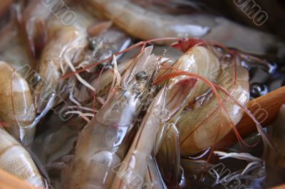 Whole raw prawns