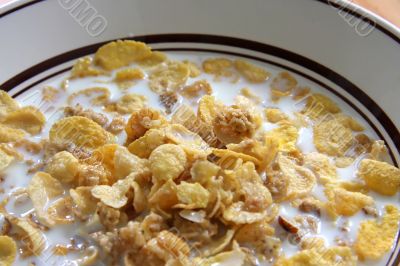 Corn flakes in milk