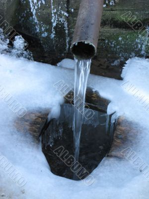 Spring in winter