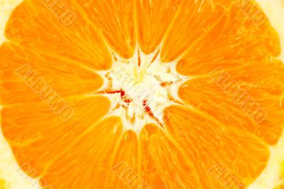 Detail from a Orange Slice