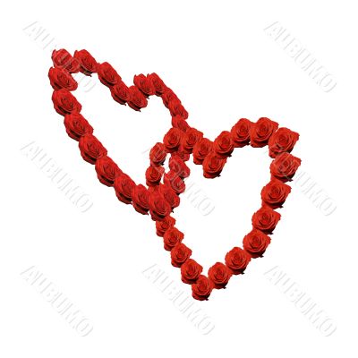 Connecting hearts