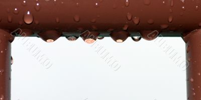 Water Drops