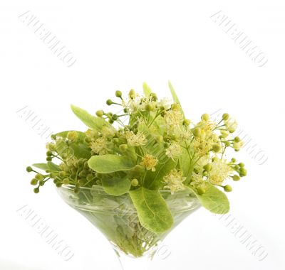 lime