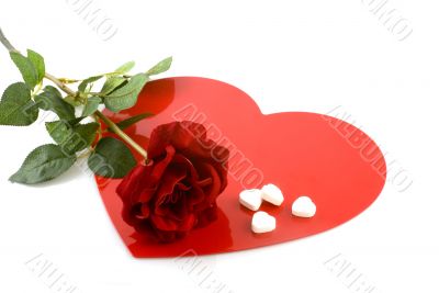 Love with rose