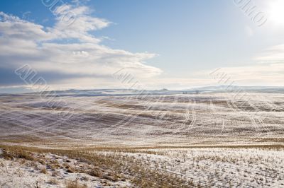 wide field