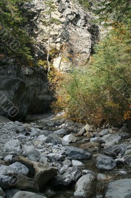 Narrow canyon with fall trees