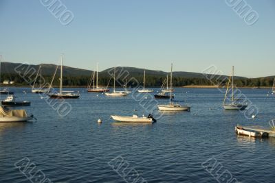 Boats at anchor,	in harbor