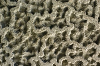 Carved Stone Texture