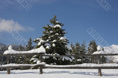 Snow and Sky 3