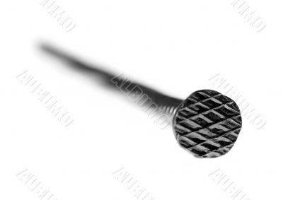 Nail on a white background