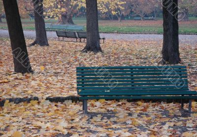 Bench, fall