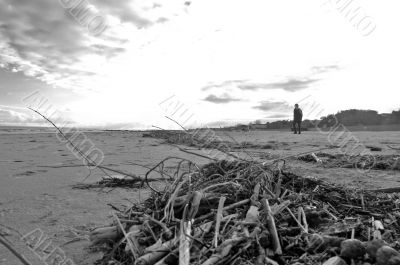Alone on the beach