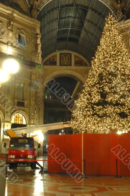 Tree under ancient buildings