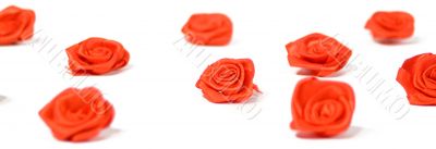 Red Roses on White
