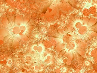 a backdrop for your designs