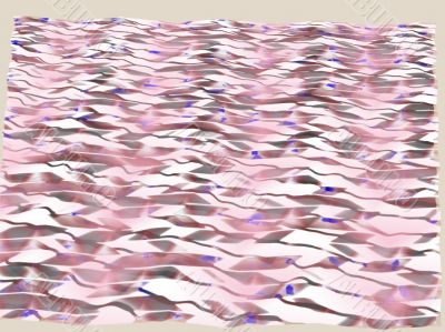 sheet abstract