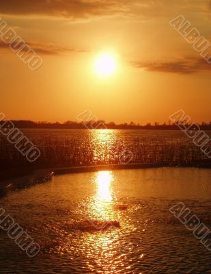Sunset