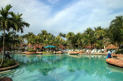 Tropical Swimming Pool