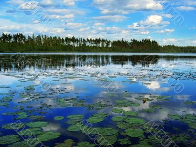 midday lake