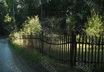 fence on sunset rays