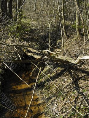 spring creek and mounted horseshoe