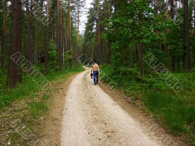 summer road