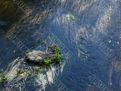 stone and blue water