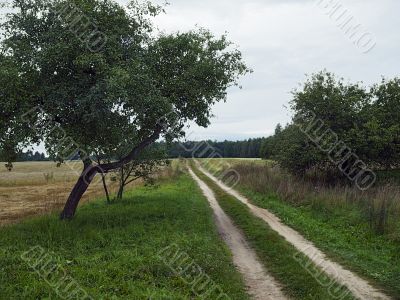 rural road