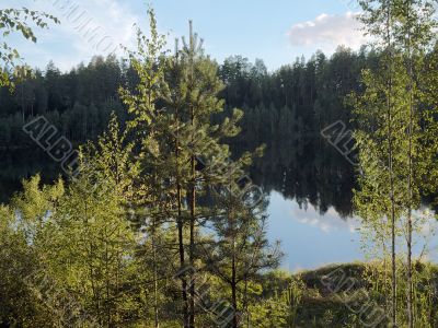 evening lake