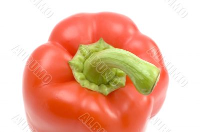 cayenne macro
