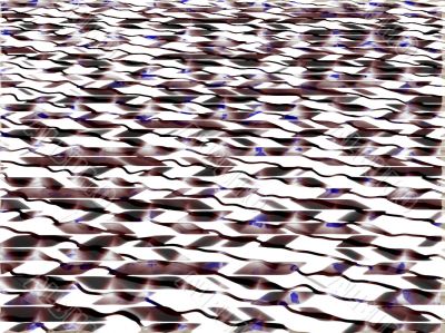wavelets