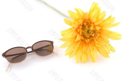 sun glasses
