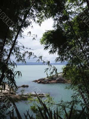 tropical coast