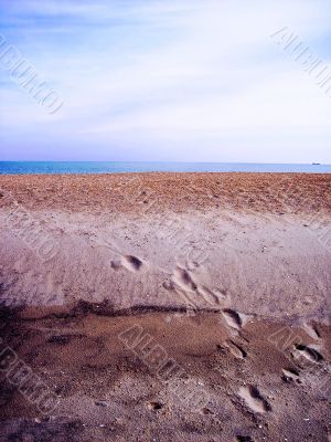 footprints and seashells