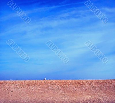 footprints and seashells