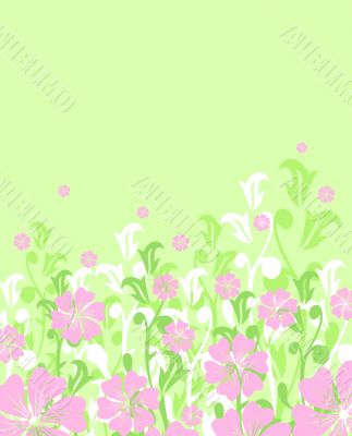 floral spring or summer background / vector