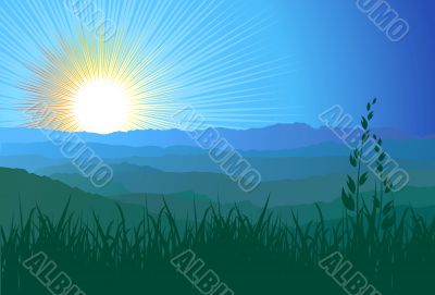 mountains, grass and sunlight / vector