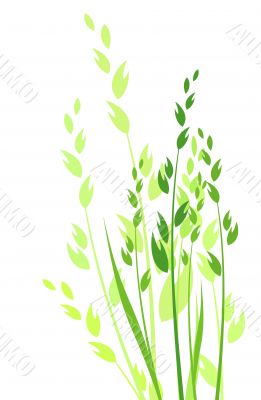 grass vector illustration / colored silhouette