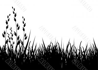 grass vector silhouette