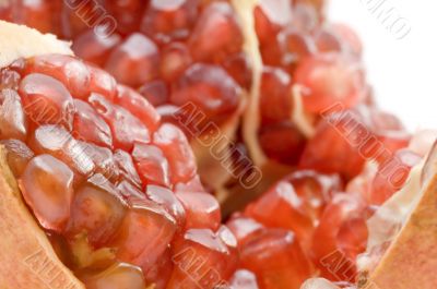 pomegranate background