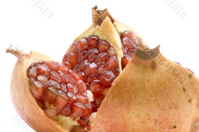 pomegranate close up