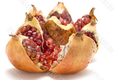 red pomegranate