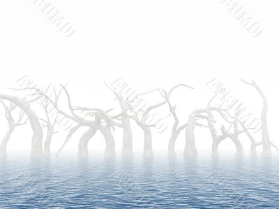 Dead trees