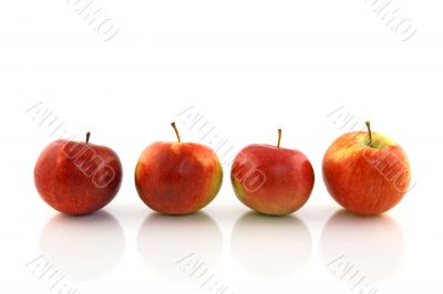 Four red apples in a row