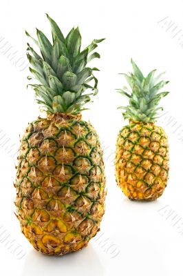 Two ripe pineapples, focus on the closest one