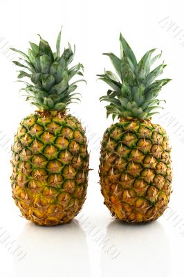 Two ripe pineapples