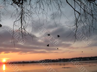 sunset on the river