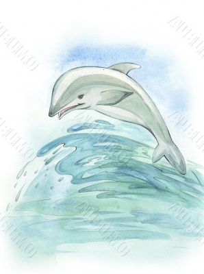 Flying dolphin