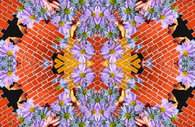 Flowers and wall