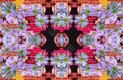 Flowers and wall